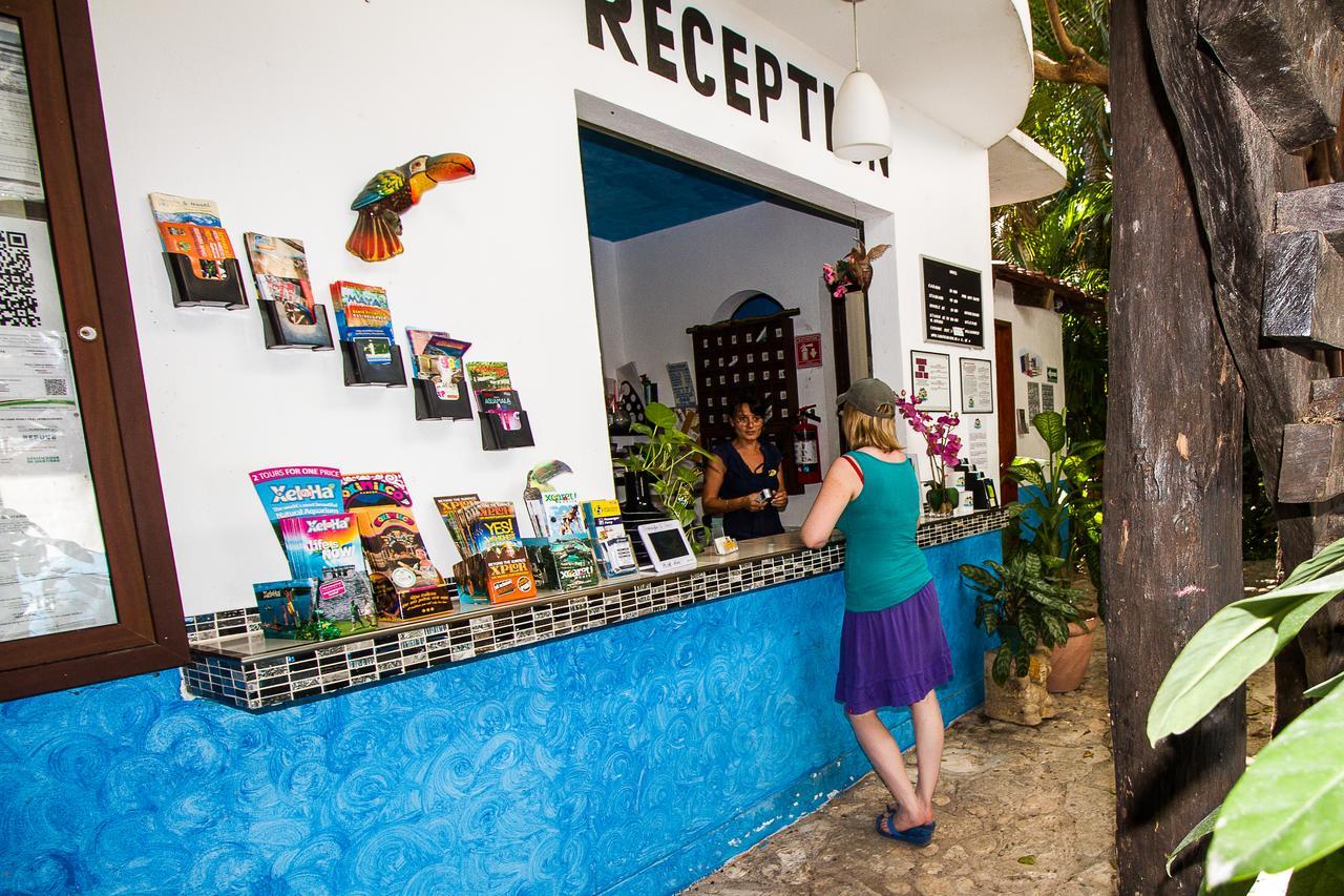 Casa Tucan Hotel Playa del Carmen Zewnętrze zdjęcie