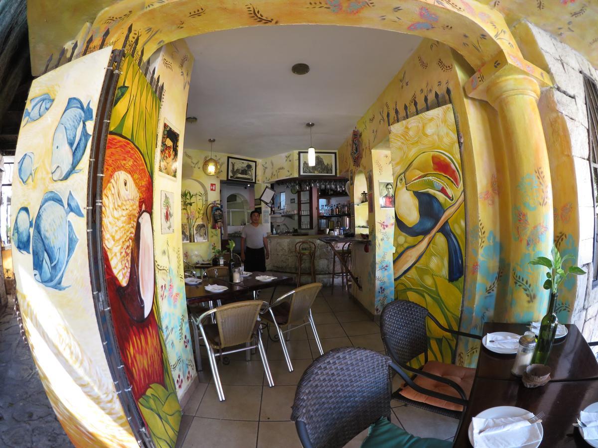 Casa Tucan Hotel Playa del Carmen Zewnętrze zdjęcie
