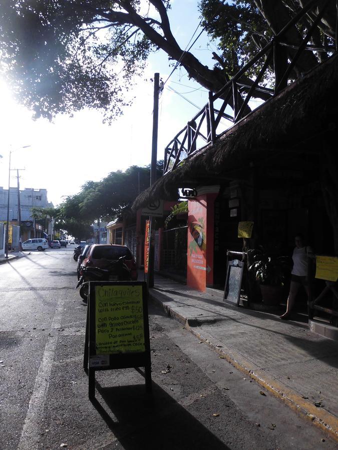 Casa Tucan Hotel Playa del Carmen Zewnętrze zdjęcie