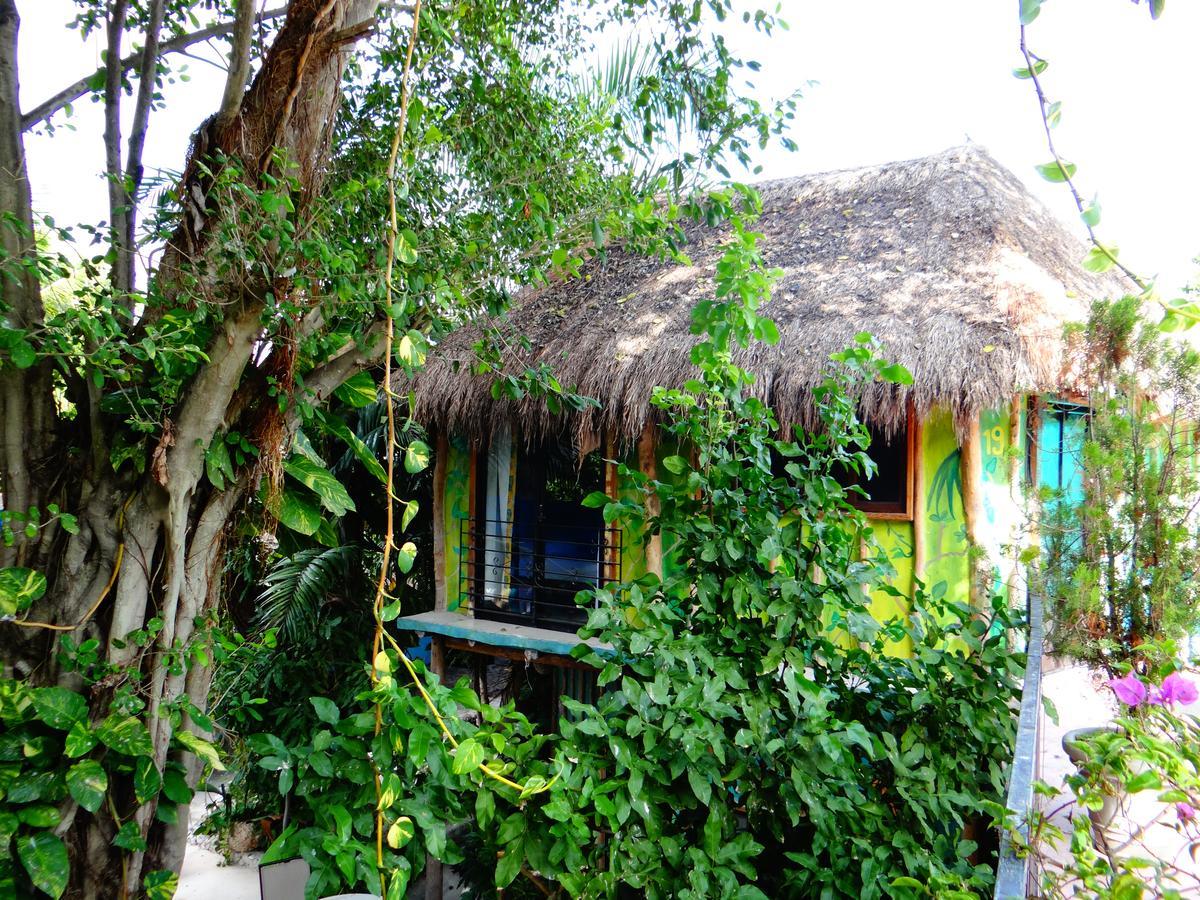 Casa Tucan Hotel Playa del Carmen Zewnętrze zdjęcie