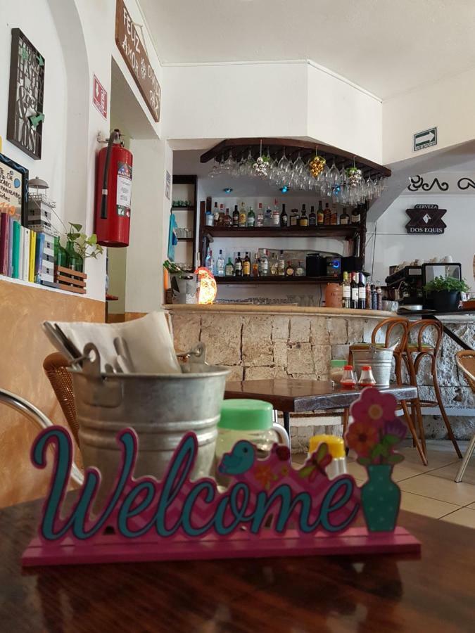 Casa Tucan Hotel Playa del Carmen Zewnętrze zdjęcie