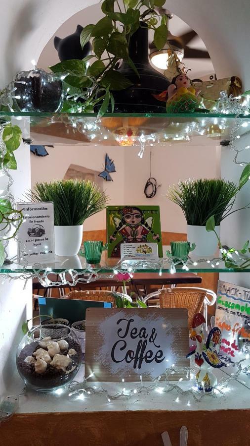 Casa Tucan Hotel Playa del Carmen Zewnętrze zdjęcie