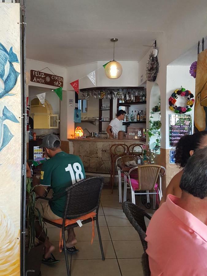 Casa Tucan Hotel Playa del Carmen Zewnętrze zdjęcie
